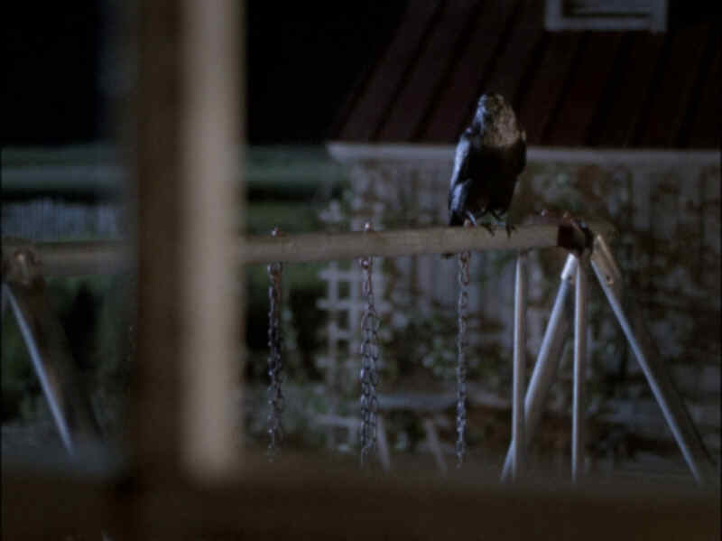 The Birds II: Land's End (1994) starring Brad Johnson on DVD DVD The Birds II: Land's End (1994) Screenshot 2