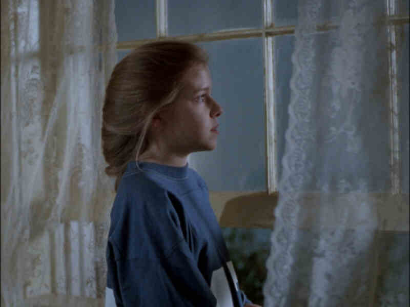 The Birds II: Land's End (1994) starring Brad Johnson on DVD DVD The Birds II: Land's End (1994) Screenshot 3