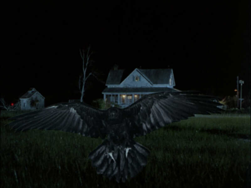 The Birds II: Land's End (1994) starring Brad Johnson on DVD DVD The Birds II: Land's End (1994) Screenshot 4