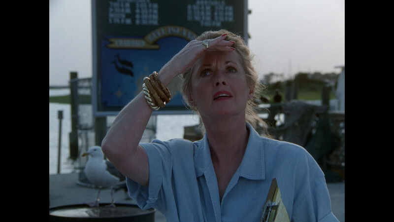 The Birds II: Land's End (1994) starring Brad Johnson on DVD DVD The Birds II: Land's End (1994) Screenshot 5