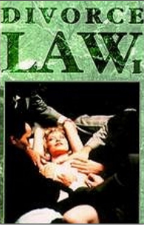 Divorce Law (1993) starring Jay Richardson on DVD on DVD