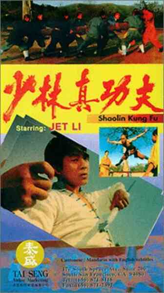 Shaolin Kung Fu (1994) Screenshot 2