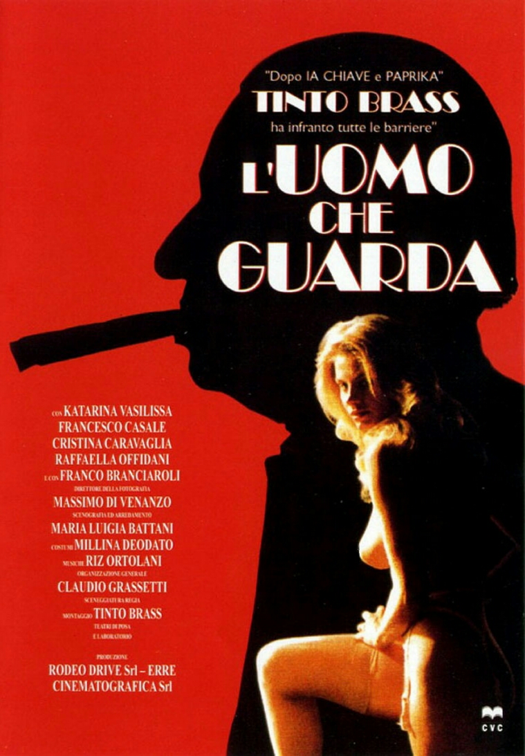 The Voyeur (1994) with English Subtitles on DVD on DVD