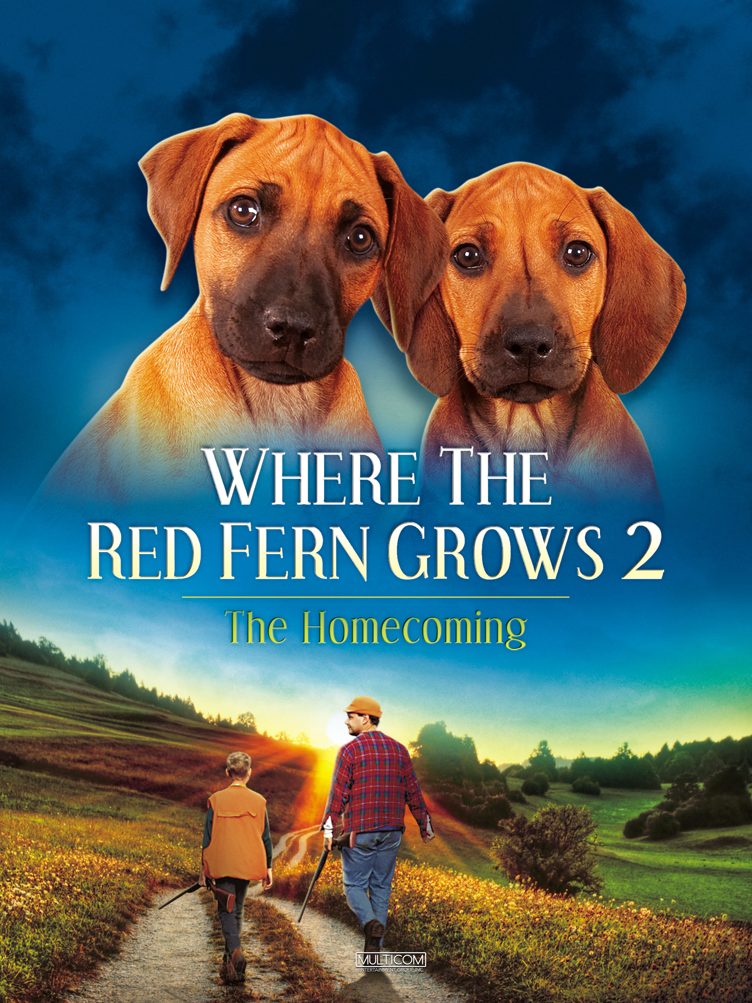 Where the Red Fern Grows: Part Two (1992) starring Wilford Brimley on DVD on DVD