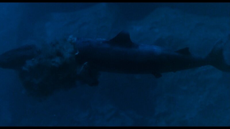 Cruel Jaws (1995) Screenshot 2