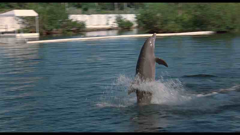 Cruel Jaws (1995) Screenshot 5