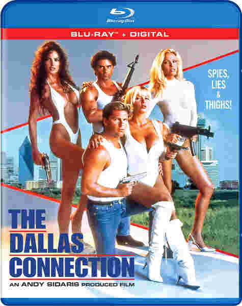 The Dallas Connection (1994) Screenshot 3