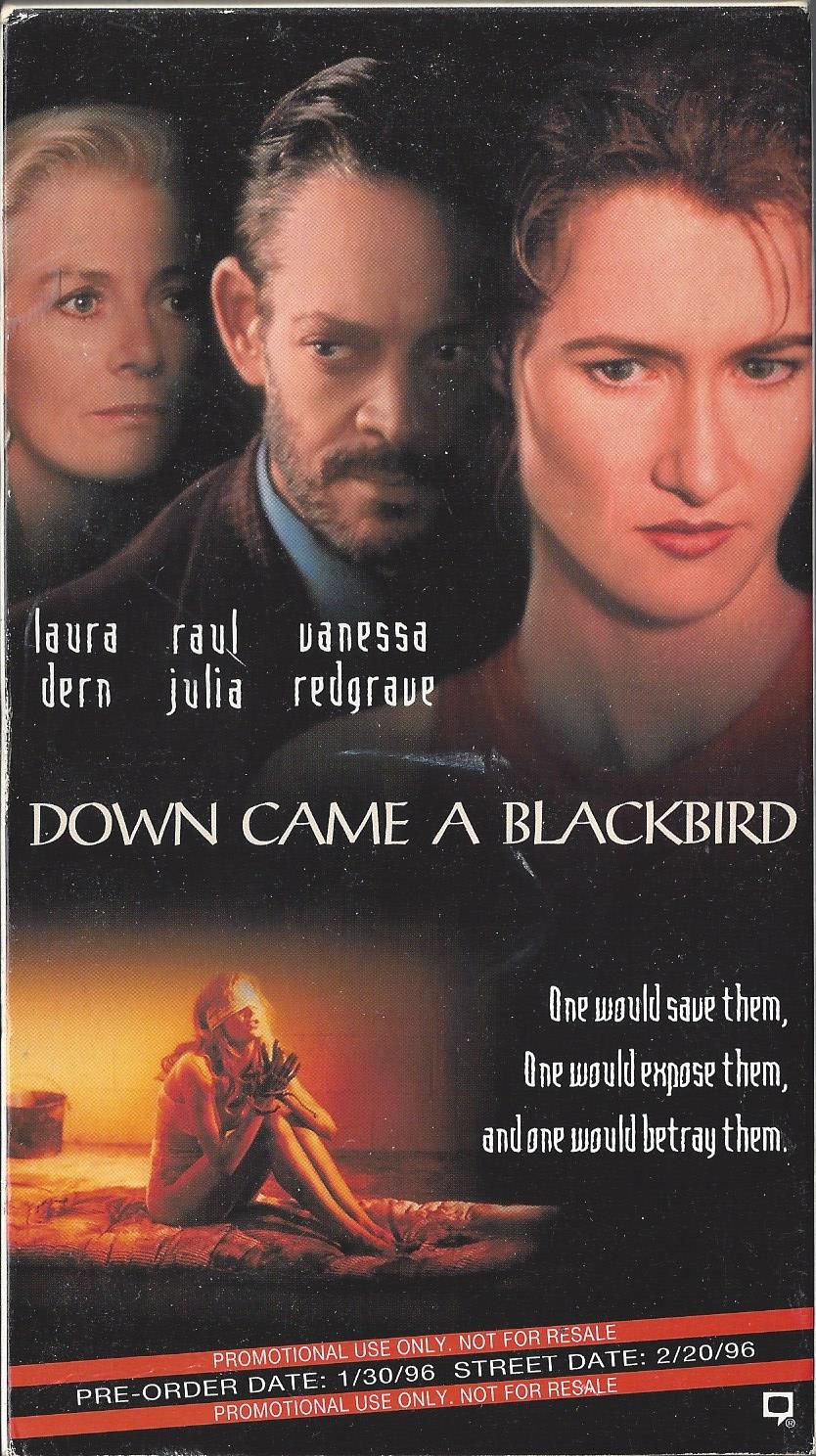 Down Came a Blackbird (1995) Screenshot 2
