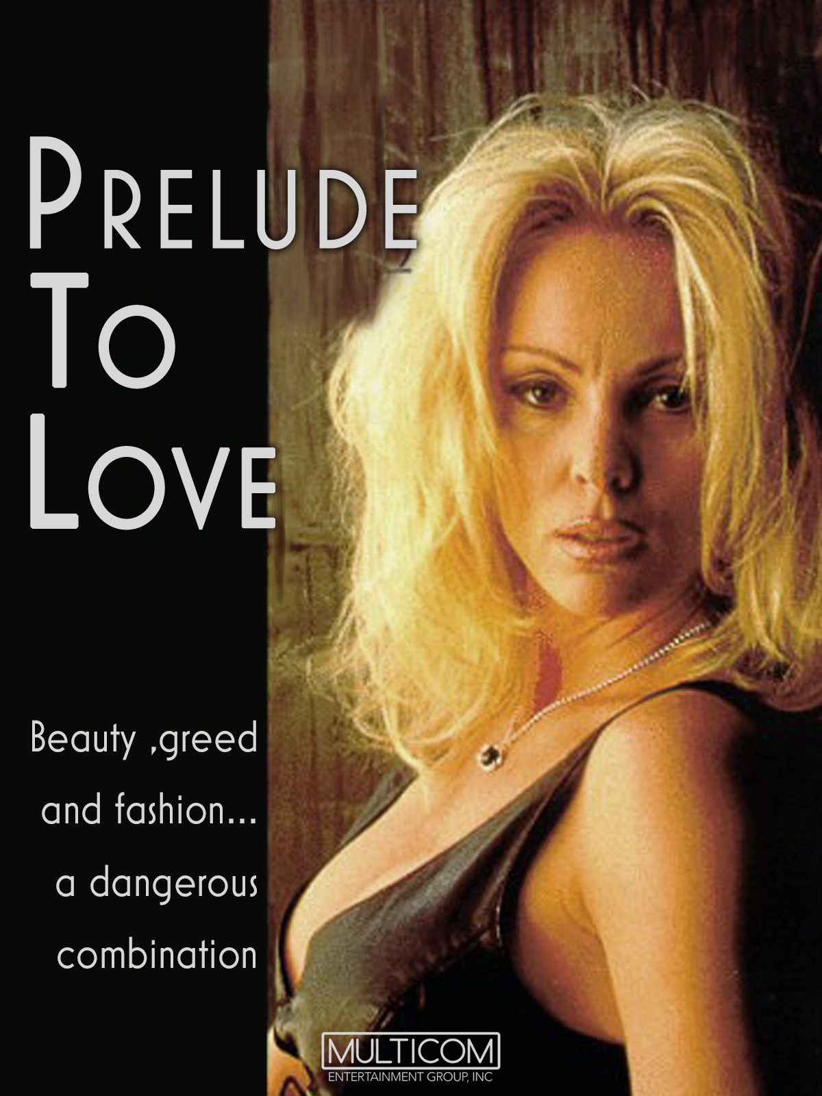 Prelude to Love (1995) starring Ashlie Rhey on DVD on DVD