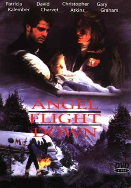 Angel Flight Down (1996) Screenshot 4