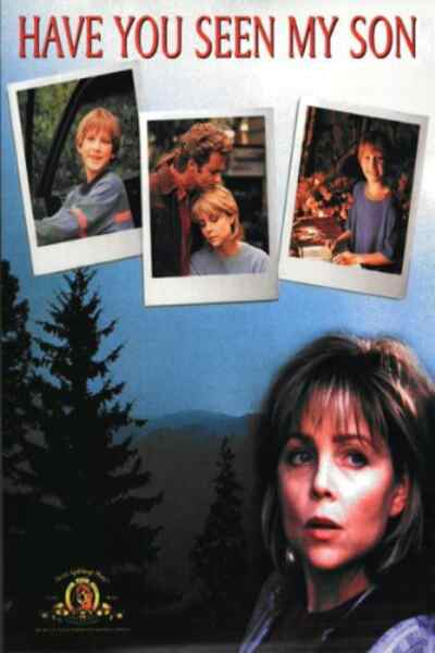 Have You Seen My Son (1996) starring Lisa Hartman on DVD on DVD