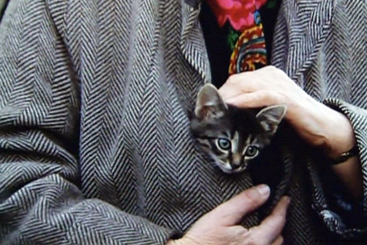 The Little Cat (1996) Screenshot 4