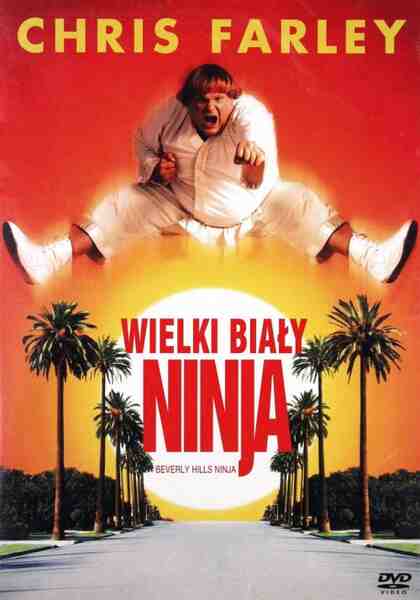 Beverly Hills Ninja (1997) Screenshot 4