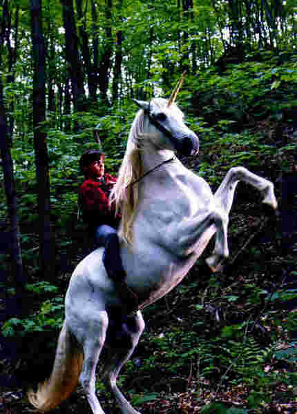 Nico the Unicorn (1998) Screenshot 3