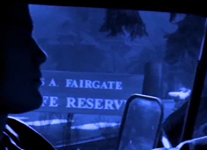NightScream (1997) Screenshot 5 