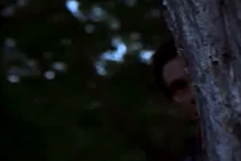 Stranger in the House (1997) Screenshot 4