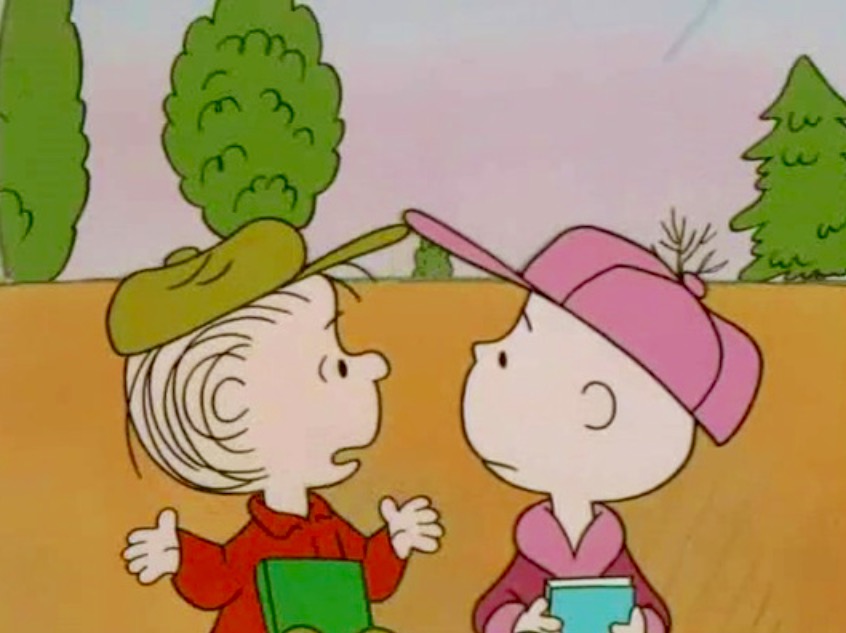 Why, Charlie Brown, Why? (1990) Screenshot 5