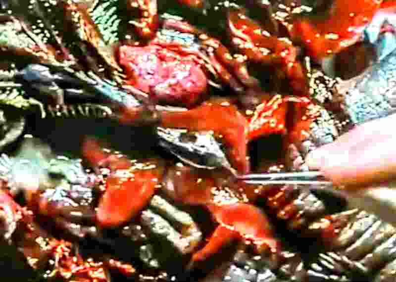 Aberration (1997) Screenshot 5