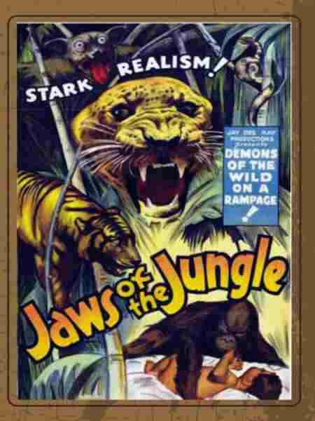 Jaws of the Jungle (1936) Screenshot 1
