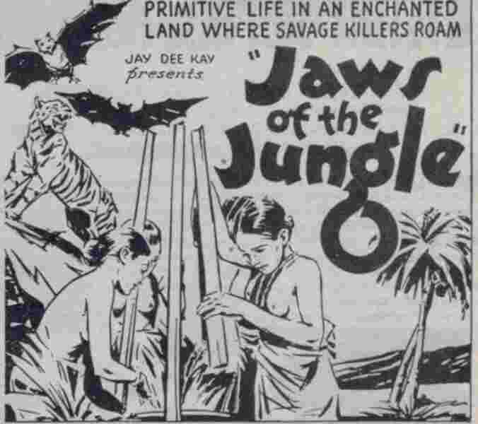 Jaws of the Jungle (1936) Screenshot 3