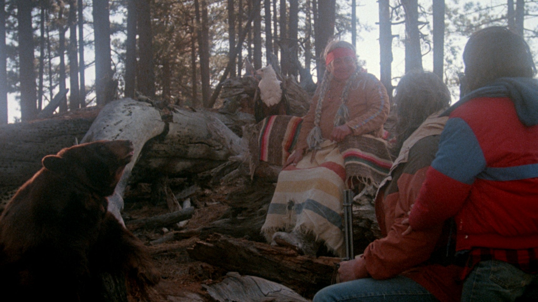 Cry Wilderness (1987) Screenshot 4 
