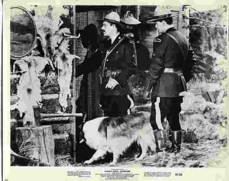 Lassie's Great Adventure (1963) Screenshot 4