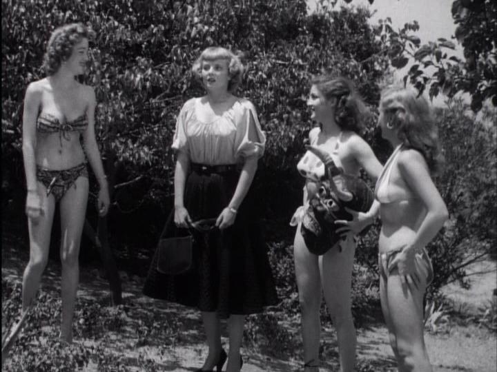 A Virgin in Hollywood (1953) Screenshot 3 