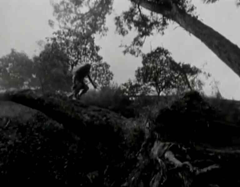 La loba (1965) Screenshot 4