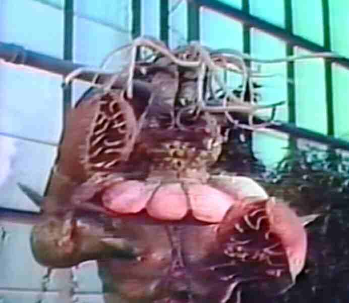 Body of the Prey (1967) Screenshot 3