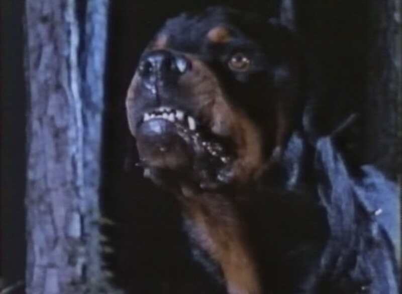 Dogs of Hell (1983) Screenshot 1