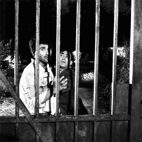 The Asphalt Fever (1967) Screenshot 4