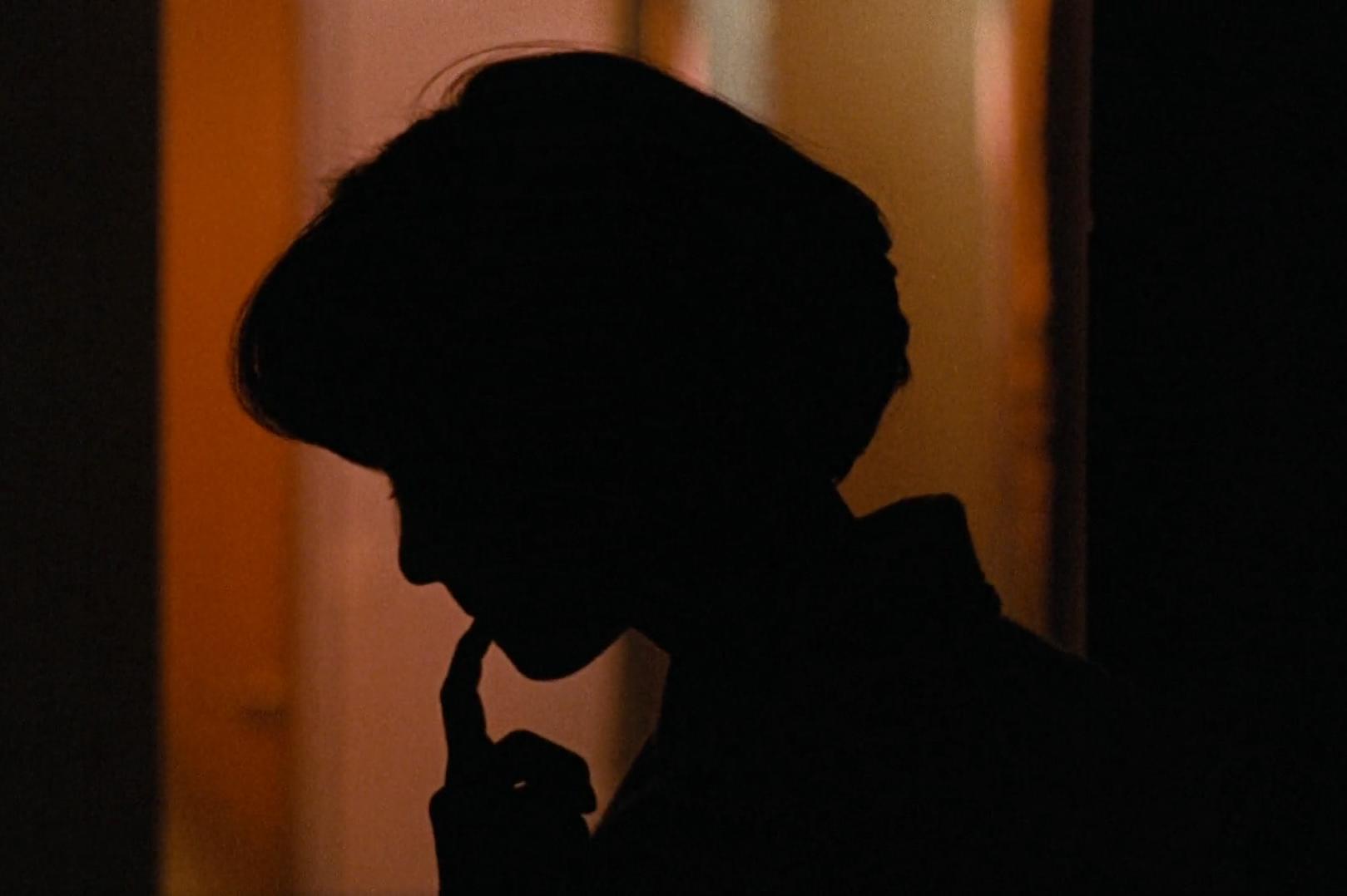 Naisenkuvia (1970) Screenshot 1