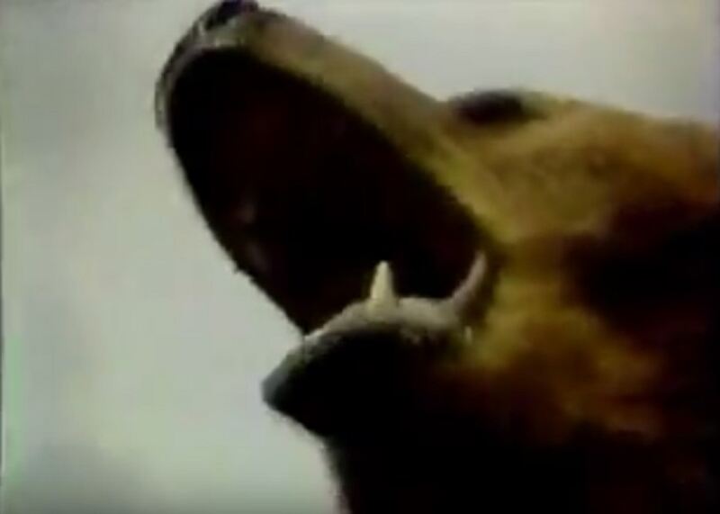 Beasts (1983) Screenshot 1