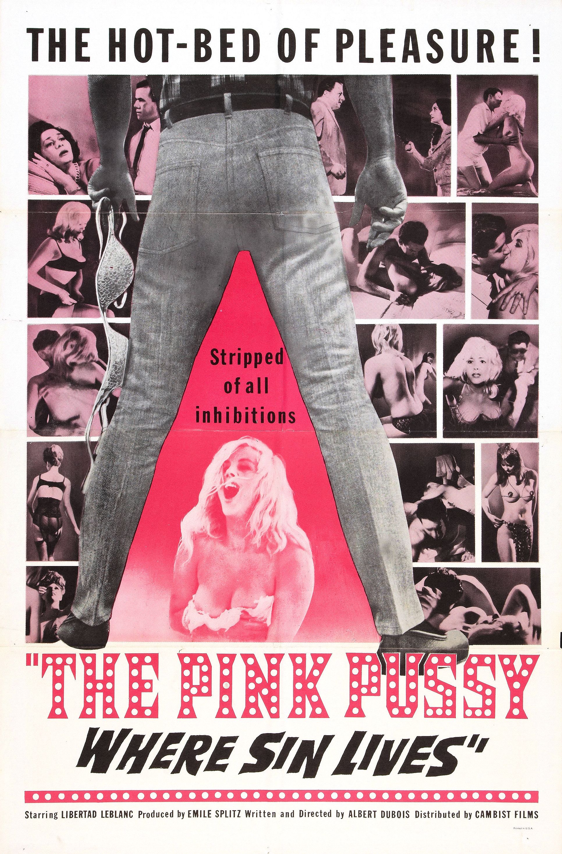The Pink Pussy: Where Sin Lives (1964) Screenshot 1 