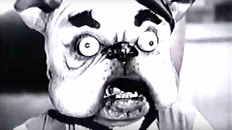 The Adventures of Superpup (1958) Screenshot 1
