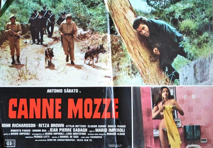 Canne mozze (1977) Screenshot 1 