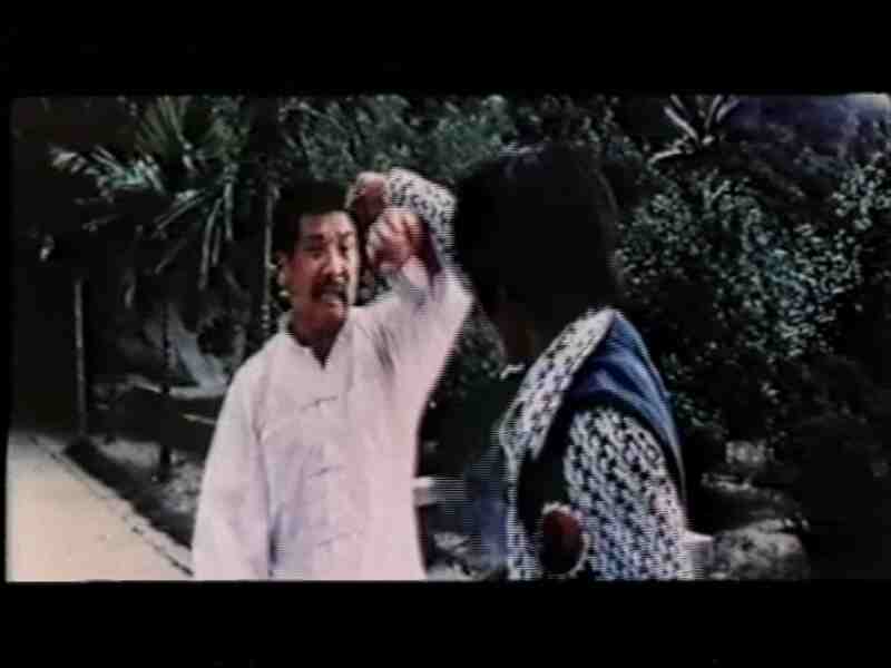 Tang shan hu wei jian sha shou (1974) Screenshot 2