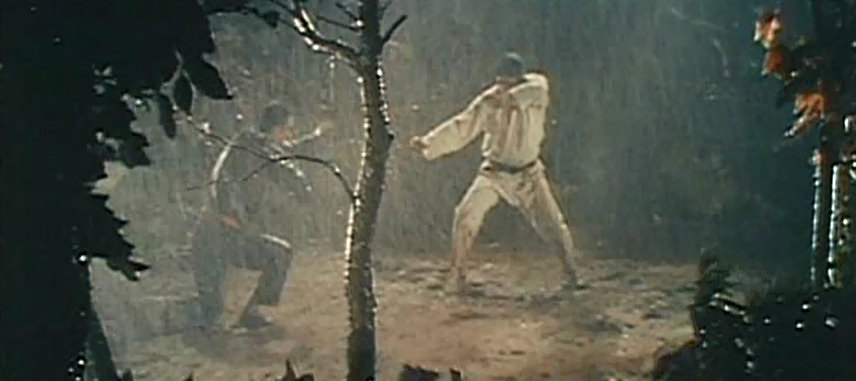 Bodyguard Kiba 2 (1973) Screenshot 3