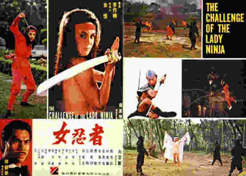 The Challenge of the Lady Ninja (1983) Screenshot 1