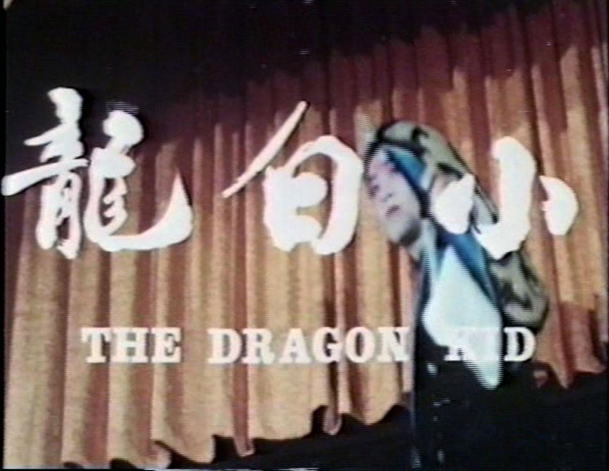 The Dragon Kid (1975) with English Subtitles on DVD on DVD
