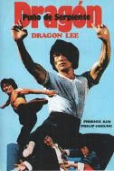 The Dragon's Snake Fist (1979) Screenshot 3