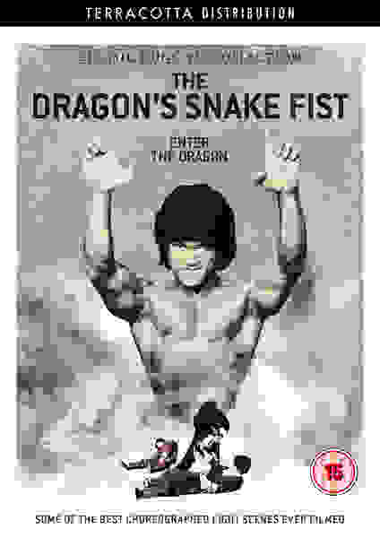 The Dragon's Snake Fist (1979) Screenshot 5