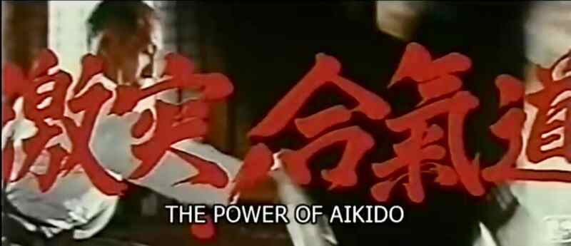 Gekitotsu! Aikidô (1975) Screenshot 3