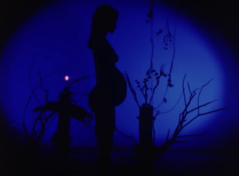 Subconscious Cruelty (2000) Screenshot 4