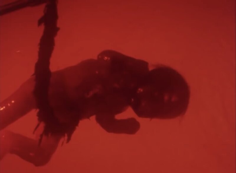 Subconscious Cruelty (2000) Screenshot 5