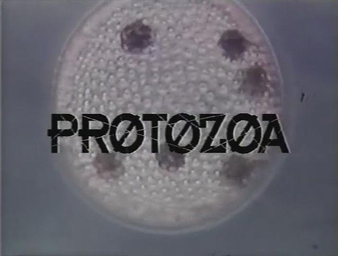 Protozoa (1993) Screenshot 1