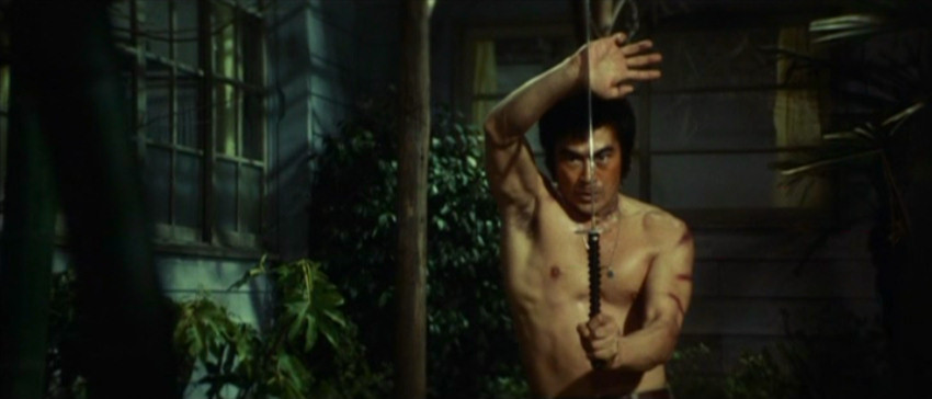 Karate Warriors (1976) Screenshot 3 