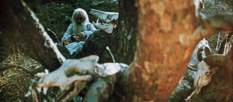 Lisova pisnya. Mavka (1981) Screenshot 4