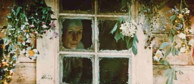 Lisova pisnya. Mavka (1981) Screenshot 5