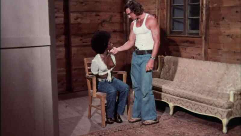 The Guy from Harlem (1977) Screenshot 3